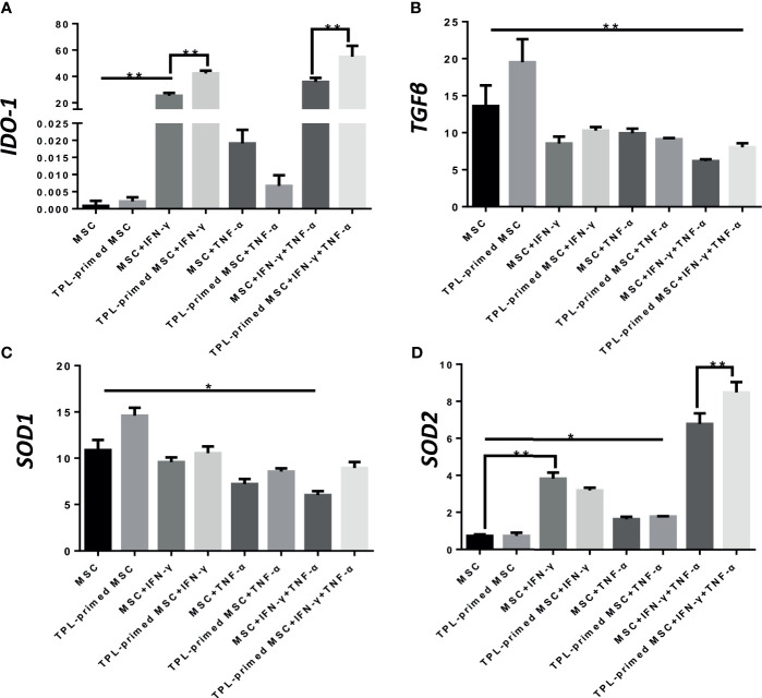 Figure 4