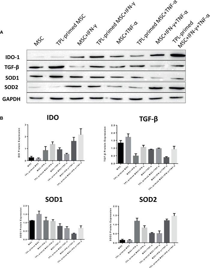 Figure 5