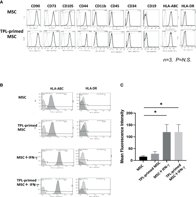 Figure 2