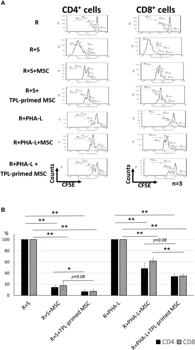 Figure 3