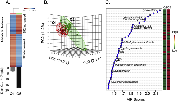 Fig. 3