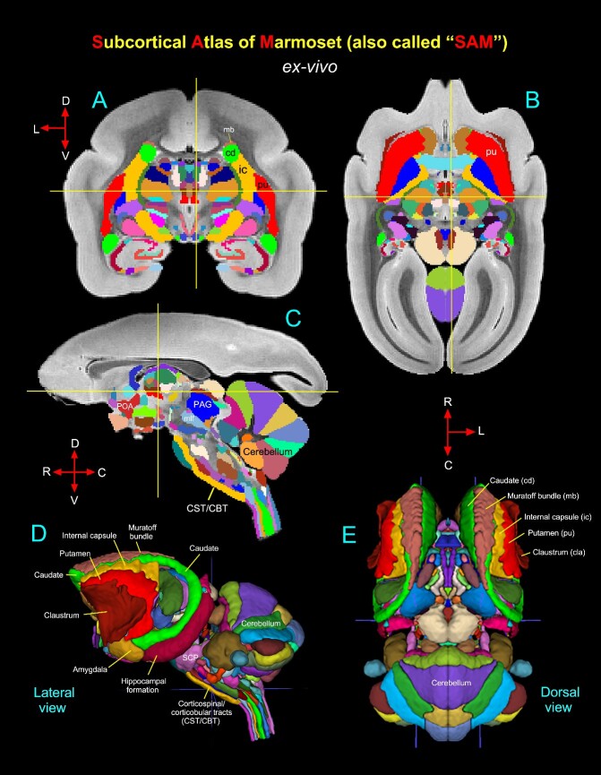 Fig. 5