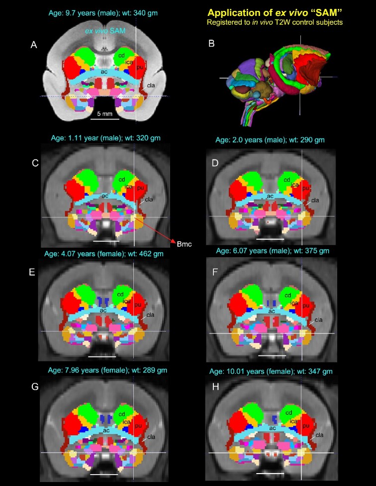 Fig. 7