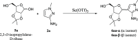 Scheme 2