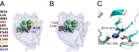 Fig. 3.