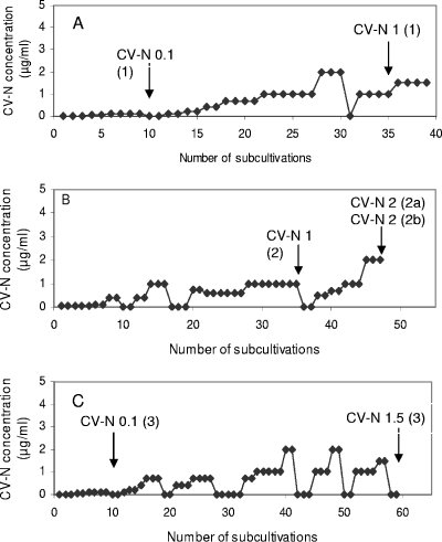 FIG. 1.