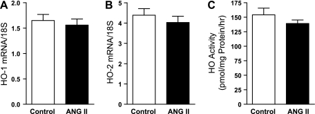 Fig. 10.