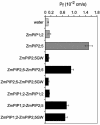 Figure 6.