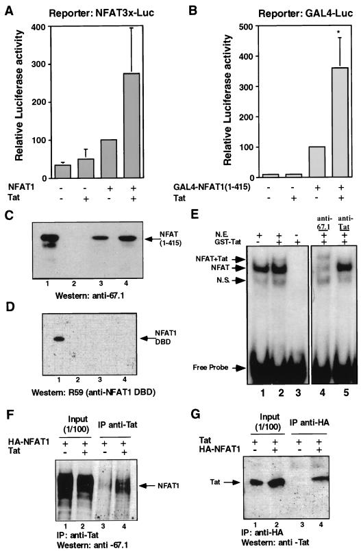 FIG. 1