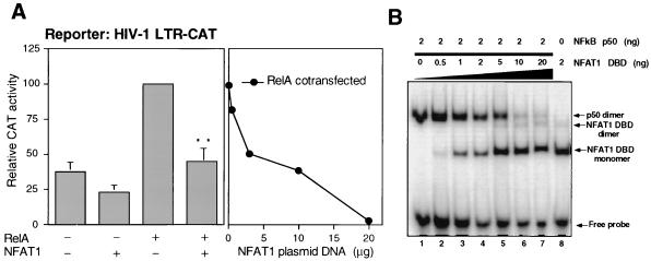 FIG. 6