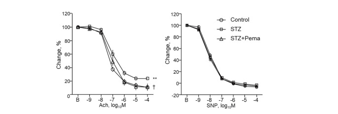 Fig.7. Pemafibrate attenuated endothelial dysfunction in diabetic mice