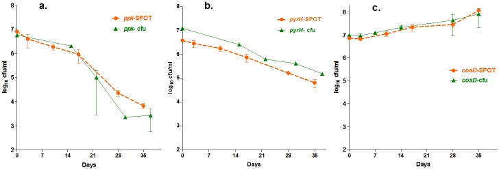 Fig 6