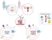 Graphical Abstract