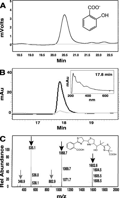 FIG. 1.