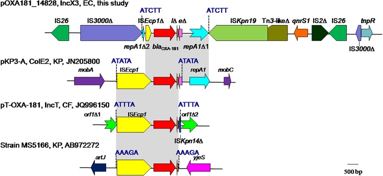 FIG 1