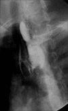 Figure 25