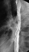 Figure 8