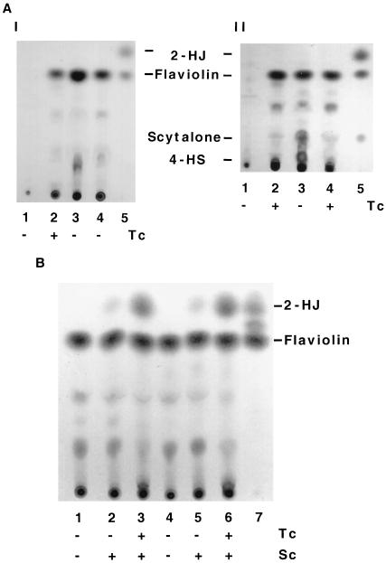 FIG. 6