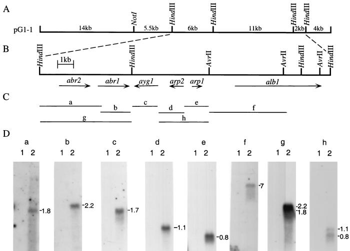 FIG. 4