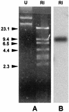 FIG. 1.