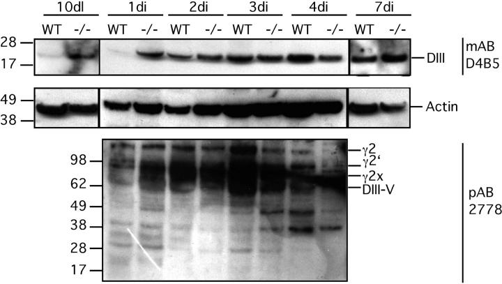 Figure 9.