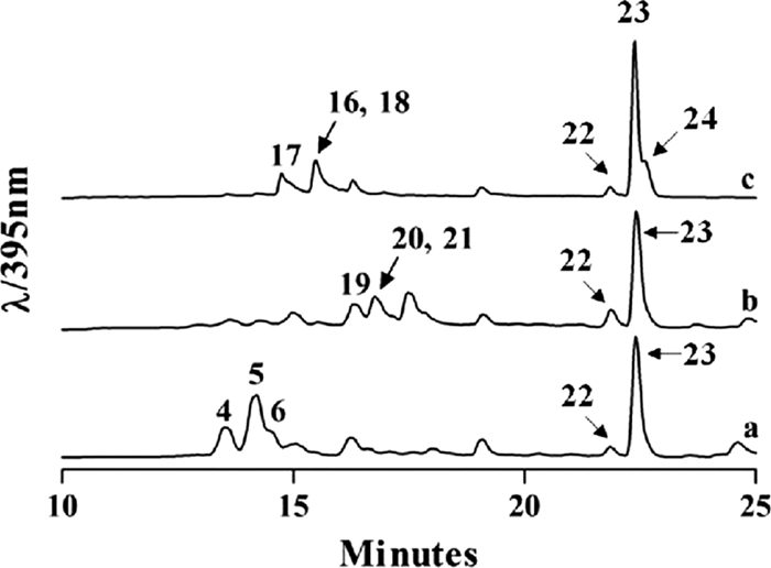 FIG. 3.