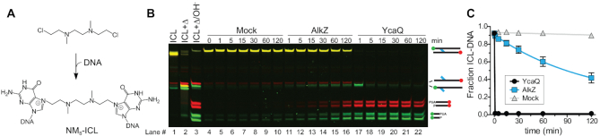 Figure 4.