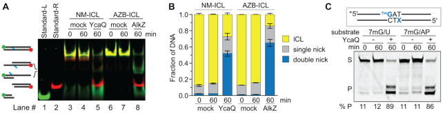 Figure 5.