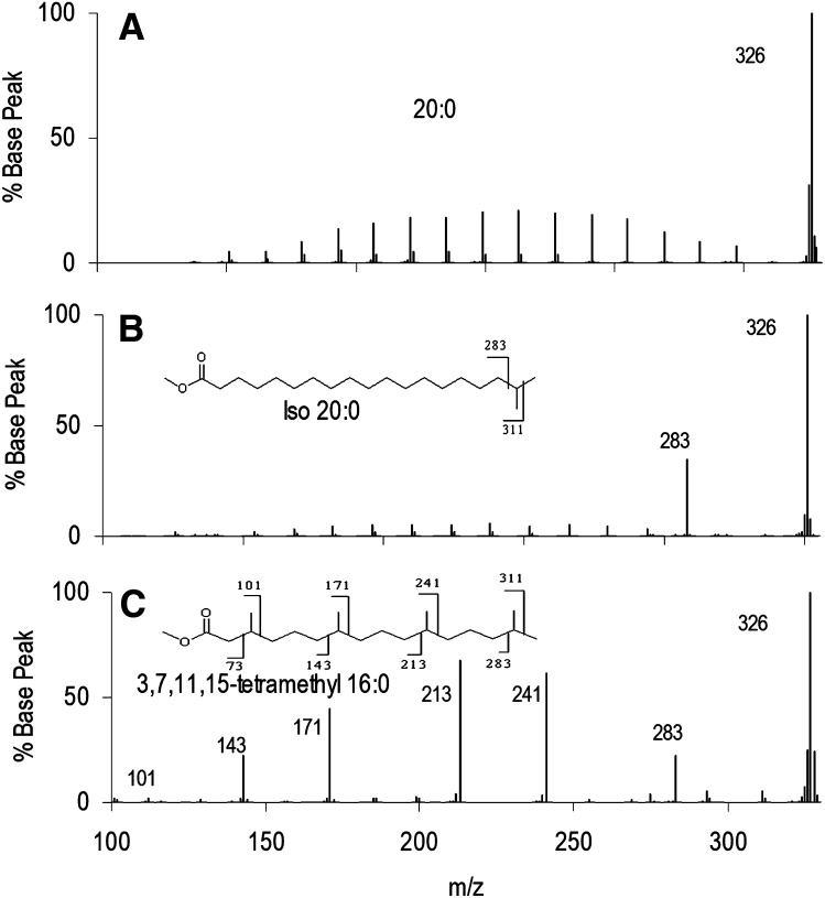 Fig.3.