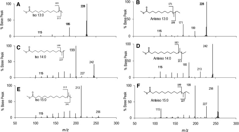 Fig.4.