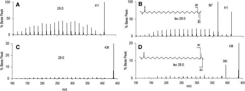 Fig.5.