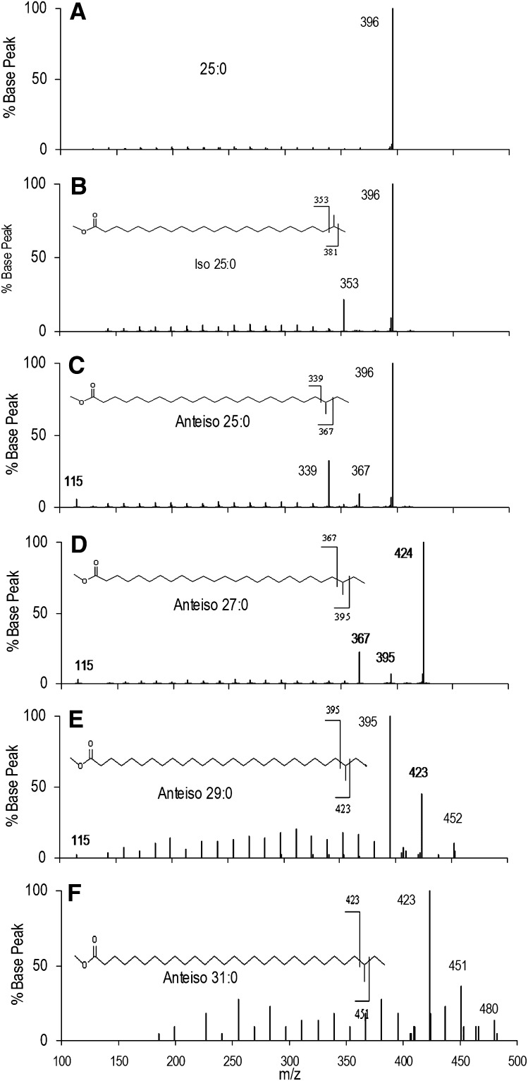 Fig.6.