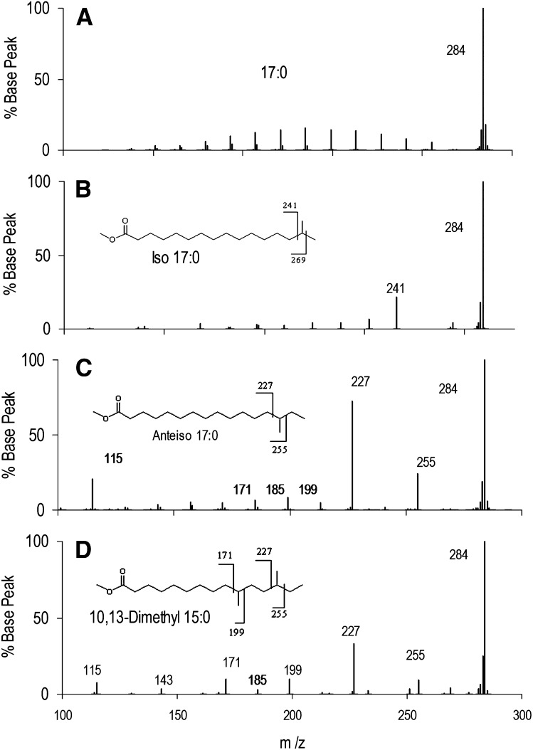 Fig.2.