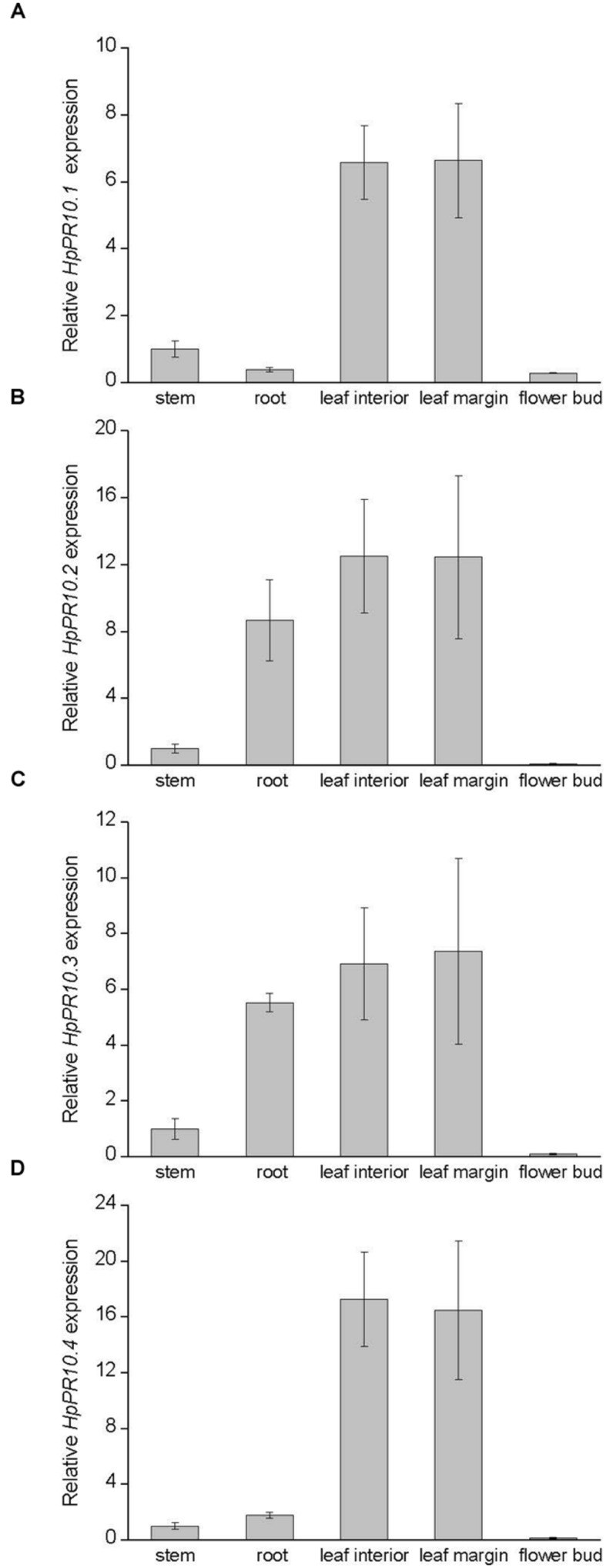 FIGURE 2