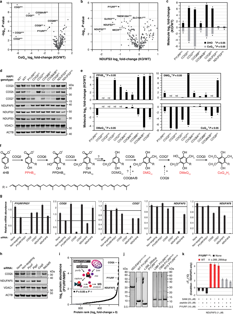 Extended Data Fig. 5 |