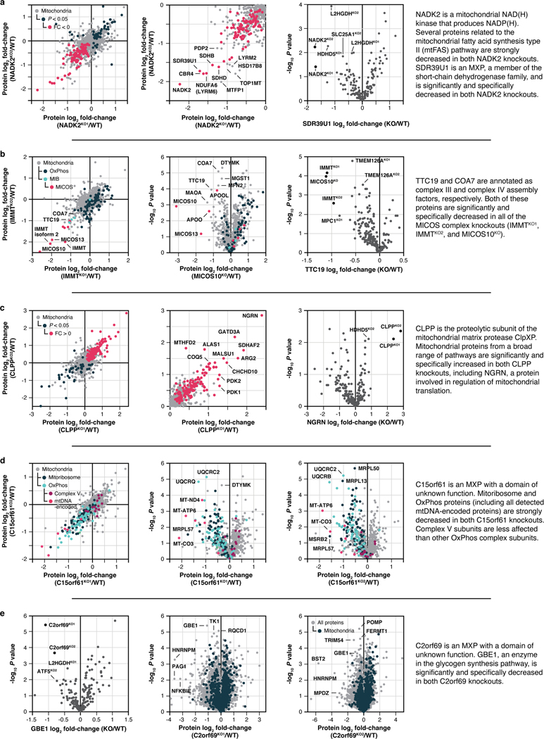 Extended Data Fig. 4 |