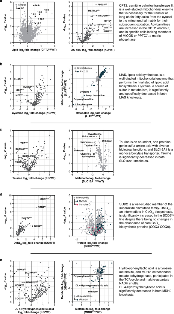 Extended Data Fig. 2 |