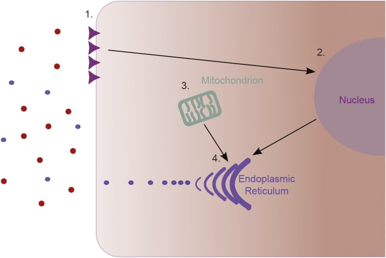 Figure 3.