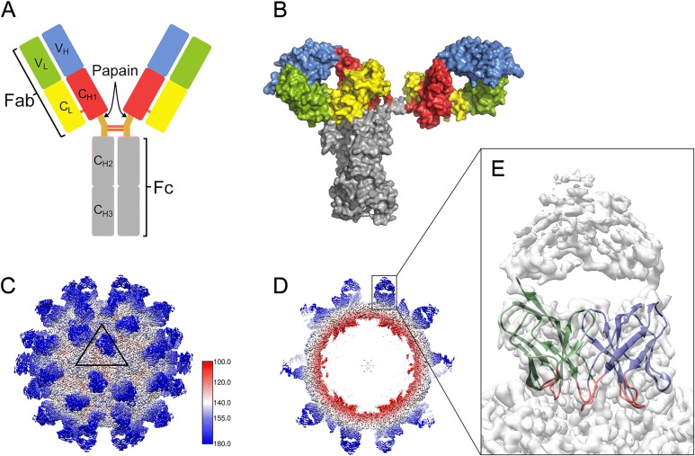 Fig. 1