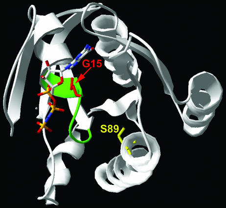 FIG. 5.