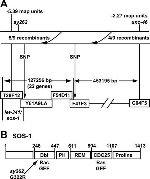 FIG. 2.