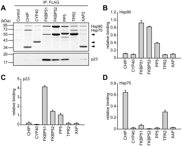 Figure 11