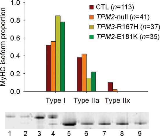 Figure 1.