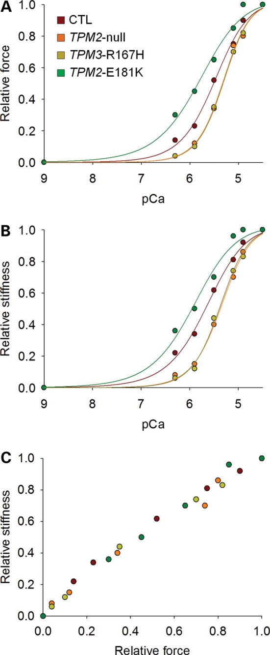 Figure 4.