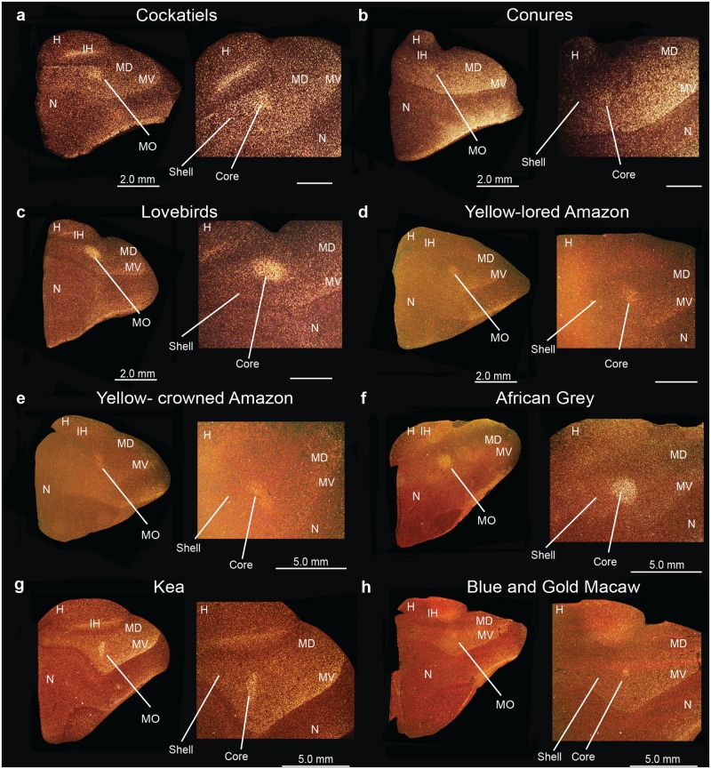 Fig 16