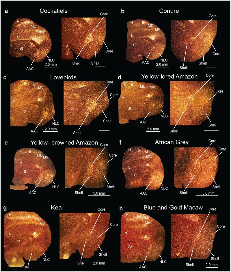 Fig 15