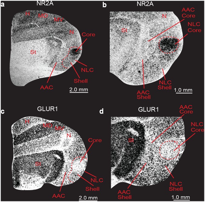 Fig 8