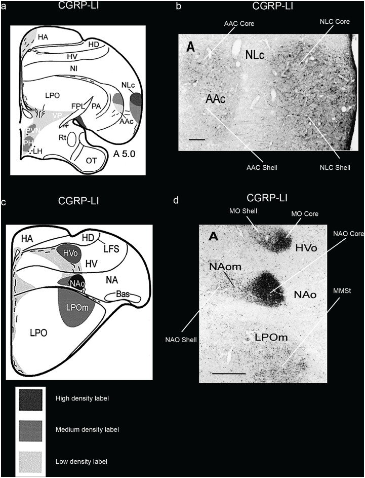 Fig 10