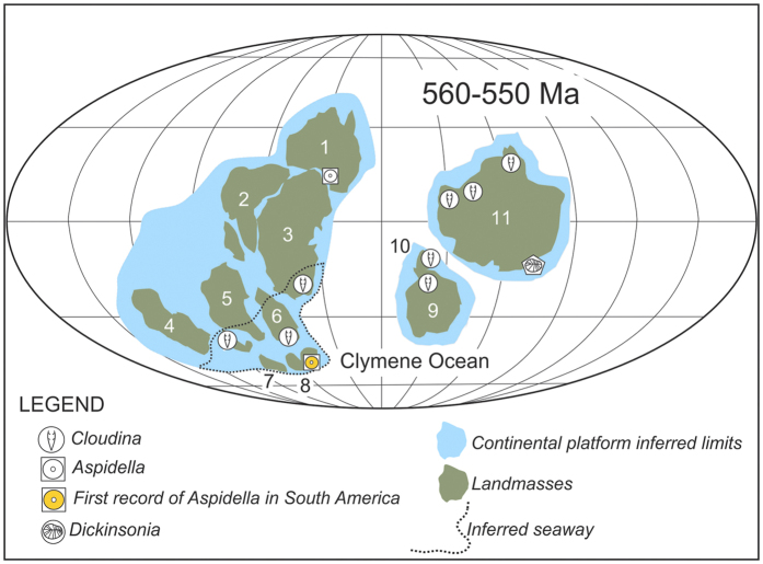 Figure 6