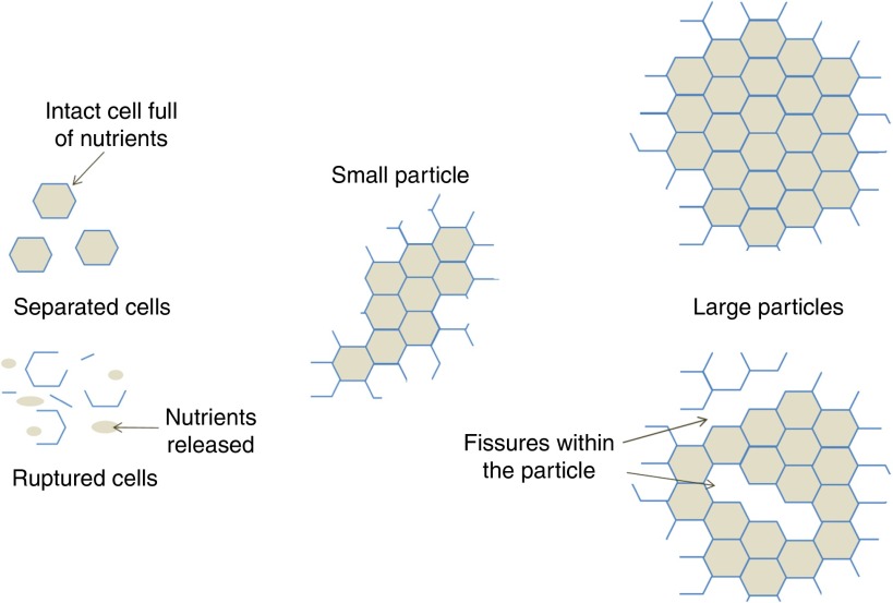 Fig. 3